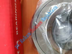 Bearing FYH UC309